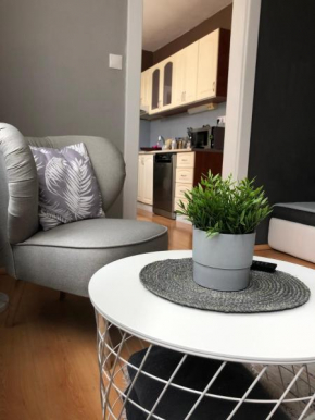 BIVIO apartment - climatised